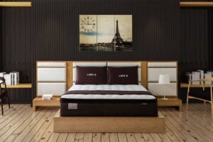 Mẫu đệm lò xo Liên Á được ưa chuộng trên thị trường