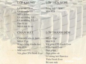 dem lo xo hanvco Fresh ever 24cm 1
