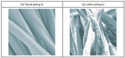Sợi tencel là gì 4